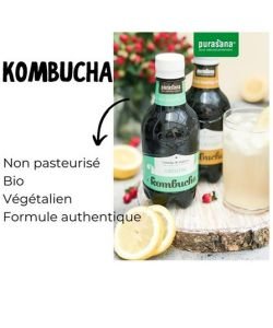 Kombucha - Natural BIO, 330 ml